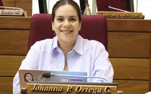 Diputada Johana Ortega.