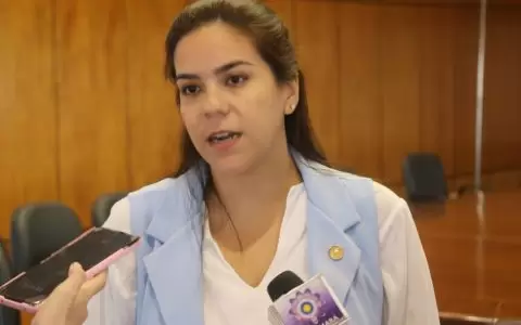 Diputada Johana Ortega.