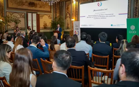 Paraguay promulg� la Ley 7190 que establece el marco para la comercializaci�n de cr�ditos de carbono y en febrero del 2025 se aprob� su reglamentaci�n