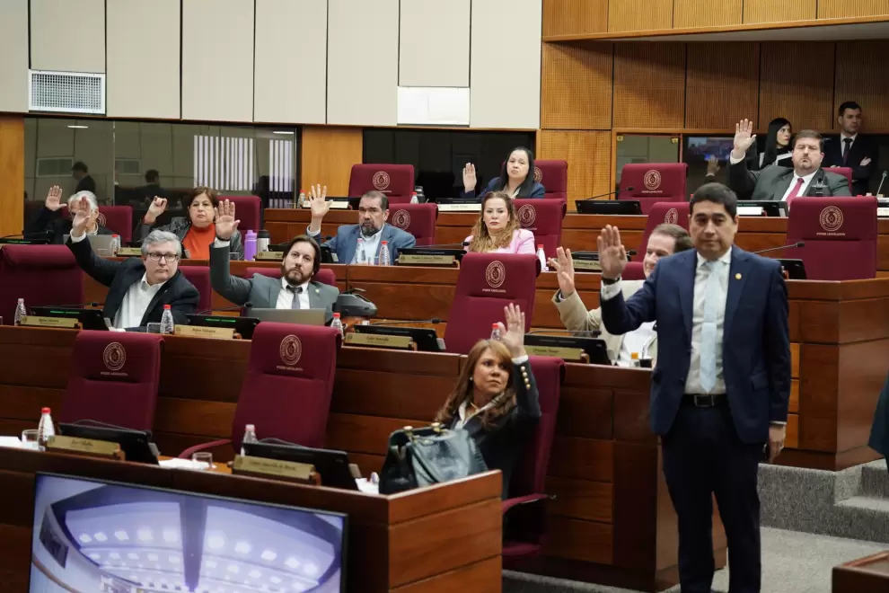 Sector de opositores en Senado.