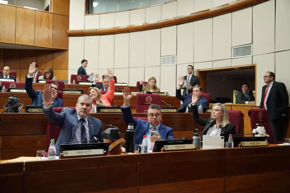 Sector del Partido Colorado en el Senado.