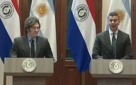 Javier Milei y Santiago Pe�a ofrecieron una conferencia desde el Palacio de L�pez.