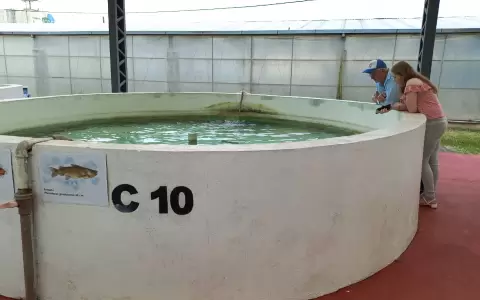 Paraguay cuenta desde 2011 con un Plan Nacional de Desarrollo de la Acuicultura Sostenible, elaborado con acompa�amiento t�cnico de la FAO.