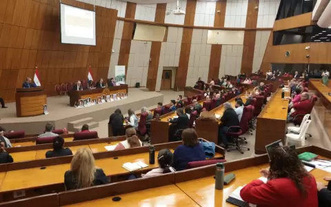 Audiencia p�blica en el Congreso Nacional.