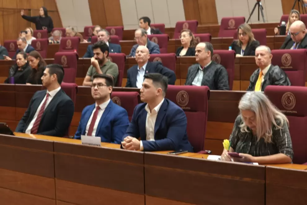 La mafia de los pagar�s es tema de la audiencia p�blica.