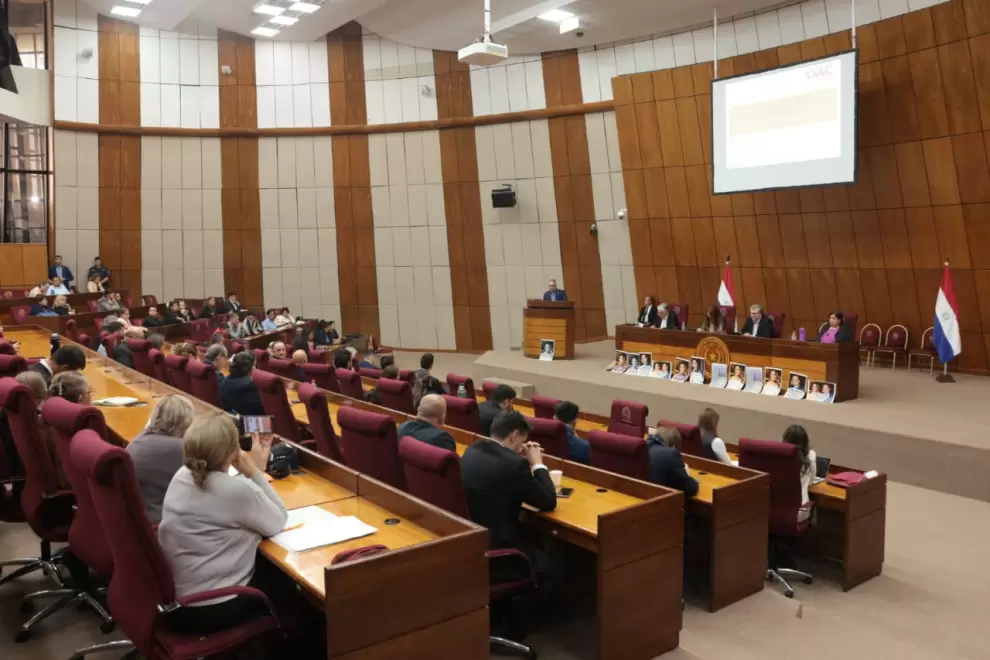La audiencia p�blica convocada por opositores.
