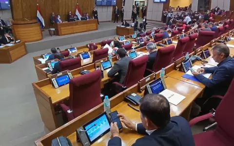 Sesi�n de la C�mara de Diputados.