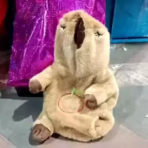 Concepci�n: detectan coca�na, �xtasis y LSD dentro de un peluche