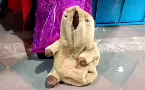 El peluche con droga habr�a salido de Salto del Guair�, departamento de Canindey�, con destino a Concepci�n.