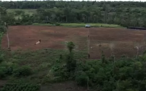 Golpe de USD 30 millones al narcotr�fico con destrucci�n del mayor invernadero de marihuana modificada.