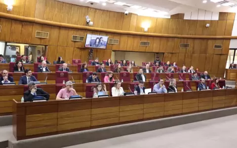 Audiencia p�blica sobre ley para la protecci�n de datos personales.
