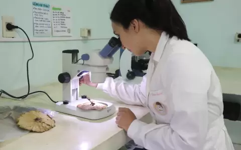 El financiamiento a nuevas investigaciones ha crecido en Paraguay.