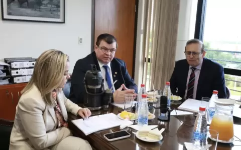 Los senadores Lizarella Valiente, Dionisio Amarilla y Erico Galeano.