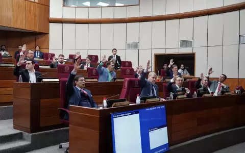 El cartismo del Senado.