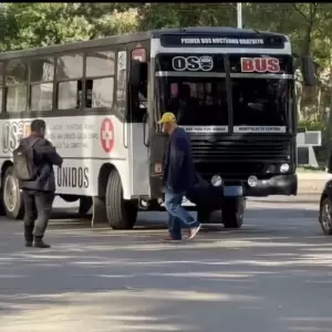 Diputado presenta proyecto "Oso Bus", un servicio que funcionar� de noche