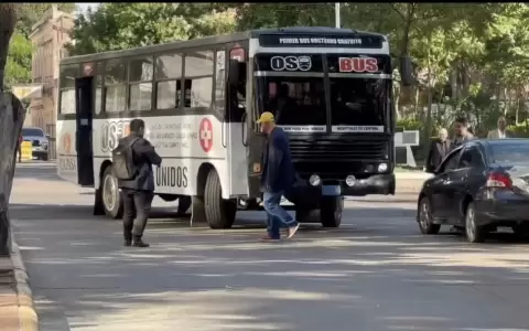 "Oso" Bus proyecto de ley de diputado.