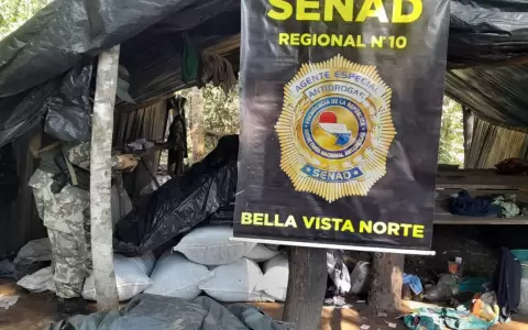 Las intervenciones fueron  efectuadas por agentes de las oficinas regionales de Bella Vista Norte, Amambay y Saltos del Guair�, Canindey�.