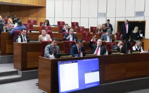 Bancada colorada del Senado.