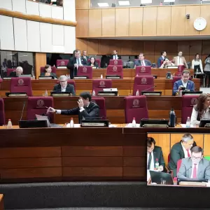 Analizar�n propuesta de aumento de penas para menores en 15 d�as