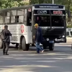 "Oso Bus" circula sin permiso, afirma viceministro de Transporte