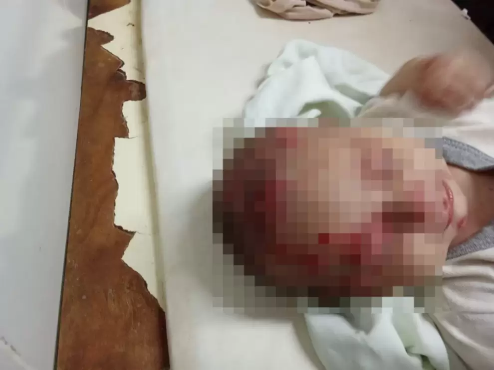 El más pequeño tiene solo 3 meses.