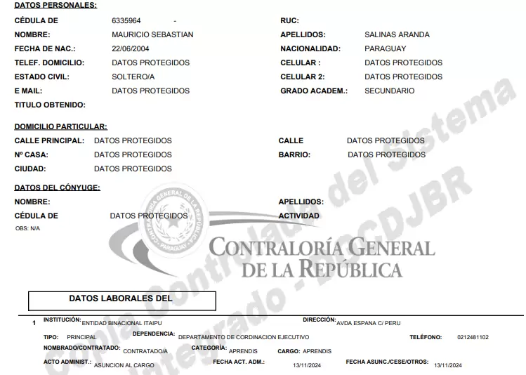 Declaración Jurada que presentó el hijo del diputado liberal Marcelo Salinas y de la intendenta de MRA, Carolina Aranda.