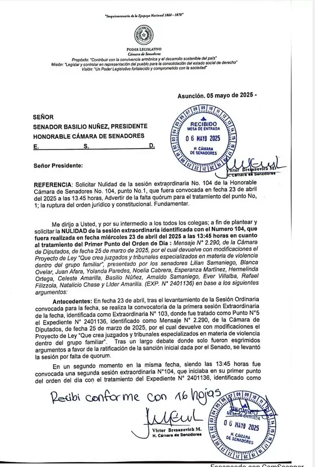 Pedido de nulidad.