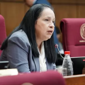 Senadora cuestiona CBI: "Ser parte de esa C�mara de Senadores, realmente, es un hazmerre�r"