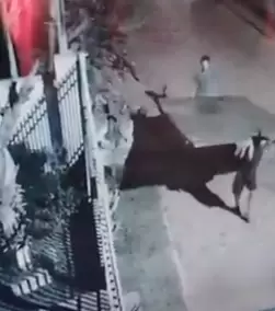 Momento en que quitaron el port�n de la casa.