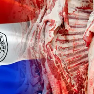 Precios de la carne: ganaderos tambi�n son responsables de las subas, seg�n frigor�ficos