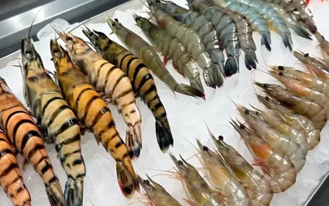 Mariscos.