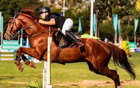 El ni�o que aprende la vida sobre un caballo: Agust�n Chamorro, la promesa de la equitaci�n paraguaya