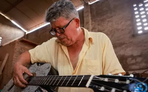 Cada guitarra Borja est� hecha con maderas nacionales como el cedro, el algarrobo chaque�o, el guayac�n, el palo santo y el pino paraguayo.