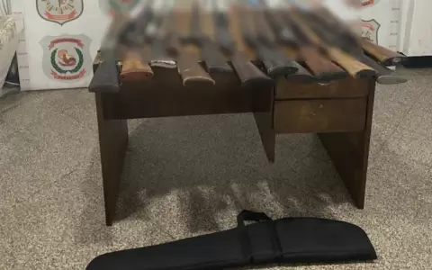 Unas 13 armas fueron incautadas.