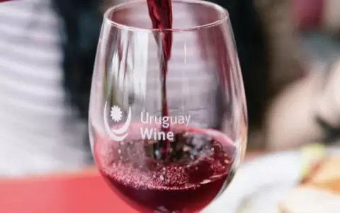 Cata de vinos en Uruguay Wine.