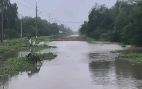 Varias zonas del Chaco siguen muy afectadas por las lluvias.