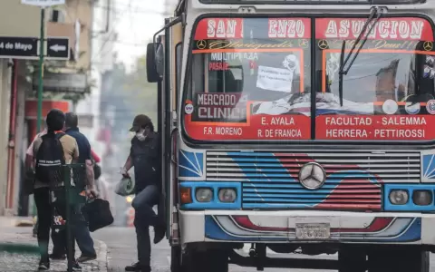 Buses.