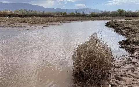R�o Grande, a su paso por Nuevo M�xico.
