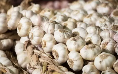 El 90% del ajo consumido en Paraguay es importado de China y Argentina,