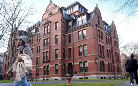 Harvard.