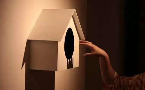 Obra de la muestra "Posdata: Proyectos de la Cl�nica de Arte". Edici�n anterior.