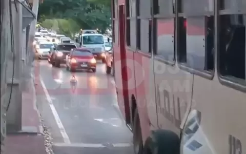 La situaci�n gener� un tremendo caos en la zona.
