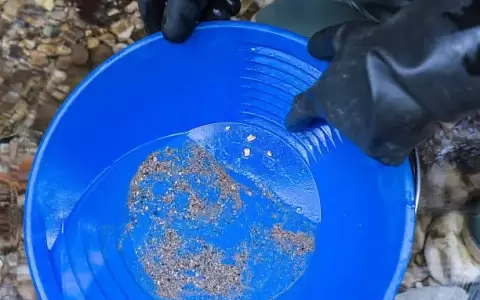 El  propio intendente de la ciudad, Gustavo Penayo, fue quien confirm� la presencia del metal precioso.