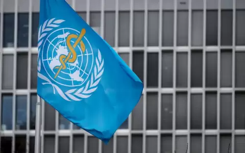 La OMS declara la emergencia internacional por un brote de �bola en RDC y Uganda
