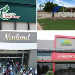 Aprueban fusión de gigantes cooperativos