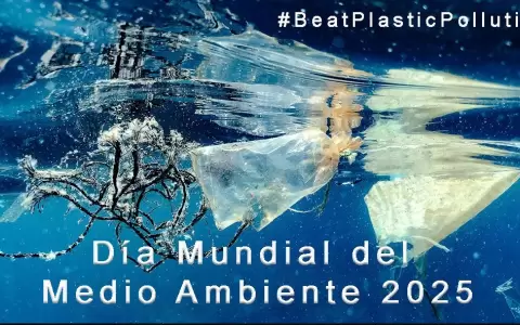 Hoy se recuerda el D�a Mundial del Ambiente.
