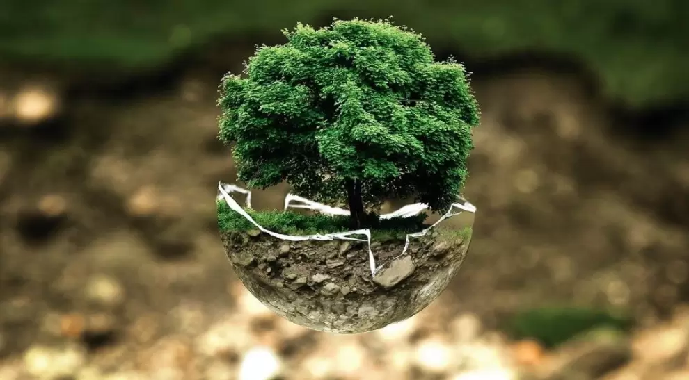 Día Mundial del Ambiente.