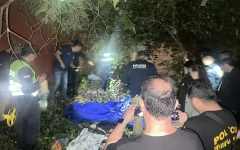 Los procedimientos contin�an en caso Fernanda Ben�tez.