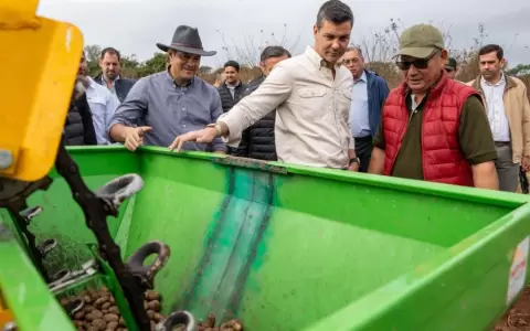 Campa�a 2025 del cultivo de papa se lanz� este s�babo en La Colmena.