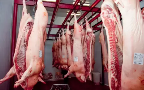 Carne porcina paraguaya a Taiw�n.